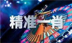 彩之挂牌全篇材料