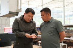 苍溪：工场化集中育秧 为春耕出产“提质加快”